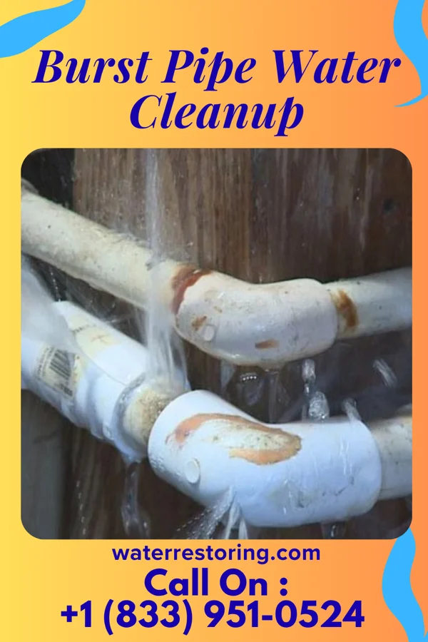 Burst Pipe Water Cleanup in Riverland, MN