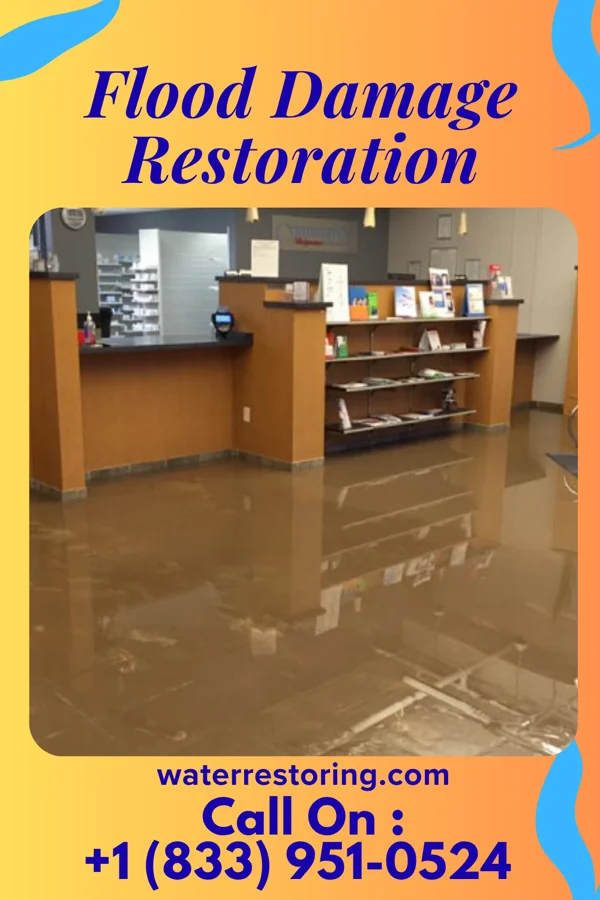 Flood Damage Restoration in Riverland, MN